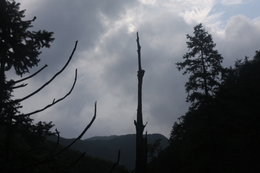 曾经风雨 摄影 盈悦