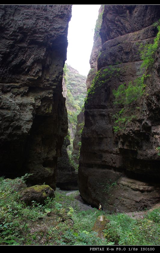 大峡谷 摄影 54马