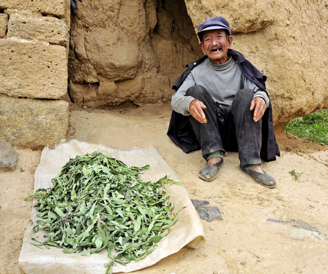 家园蔚县---故土.亲人（58） 摄影 槛外人