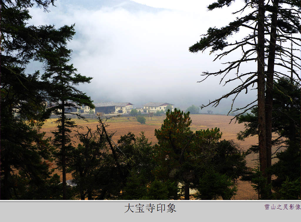 大宝寺晨曦 摄影 雪山之灵