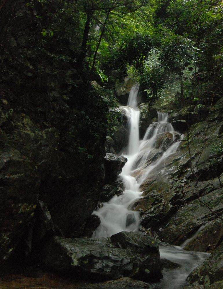 深圳梧桐山山溪 摄影 哈影