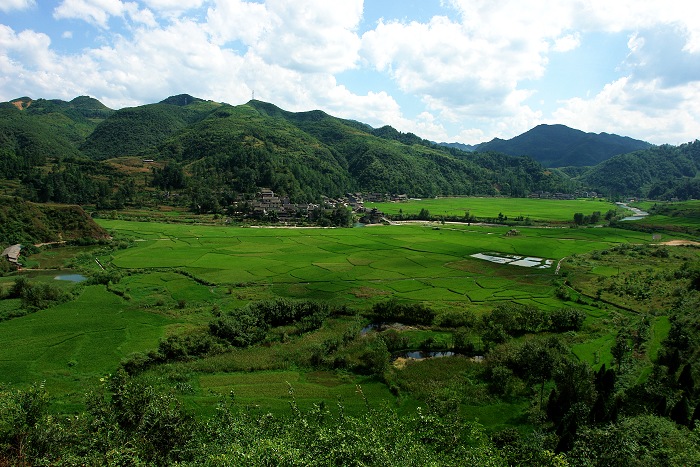 田园风光 摄影 天方地圆