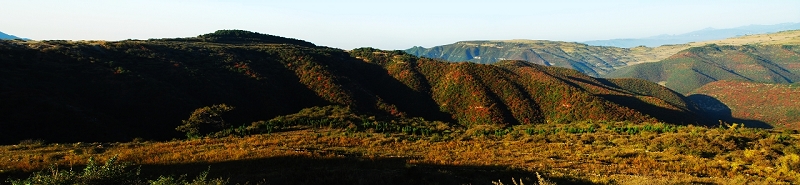 山川锦绣红叶浓 摄影 宸铭