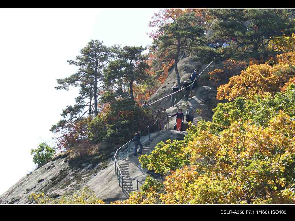 上山的路 摄影 ssw