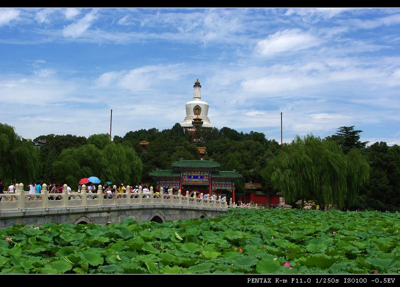 让我们荡起双桨的地方 摄影 54马