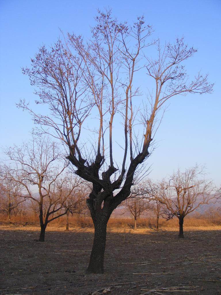 郊区随拍，净图 摄影 夜魇惊梦