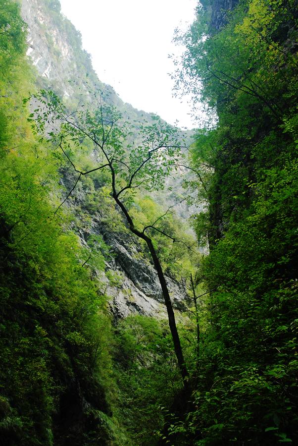 金丝峡风光 摄影 银雪飞渡