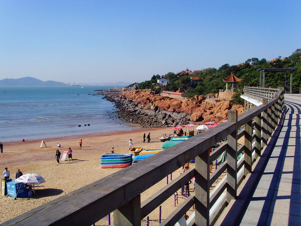 阳光 沙滩 海浪 摄影 海鸥119