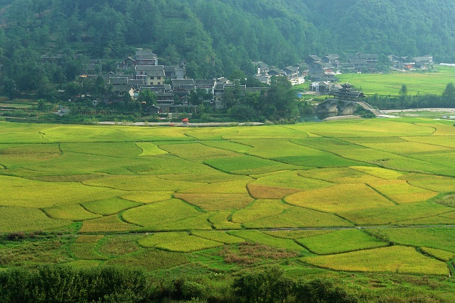 田园秋色 摄影 天方地圆