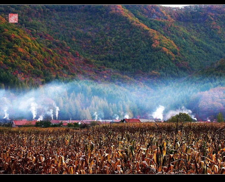 山村的早晨 摄影 走马观花