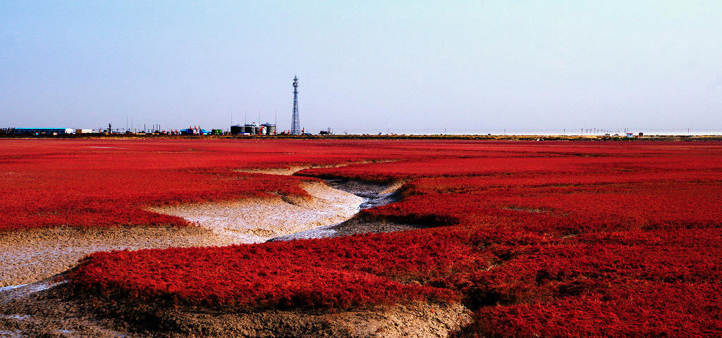 梦回 红海滩 摄影 冬之猪