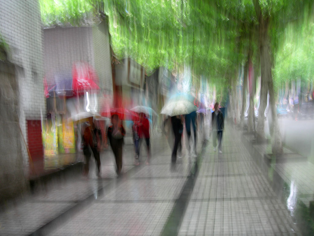 在雨中 摄影 浮云流水