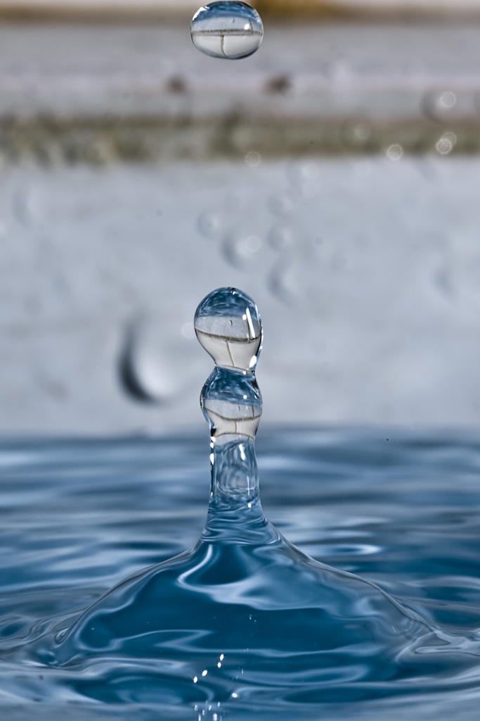 水珠 摄影 牧野天涯