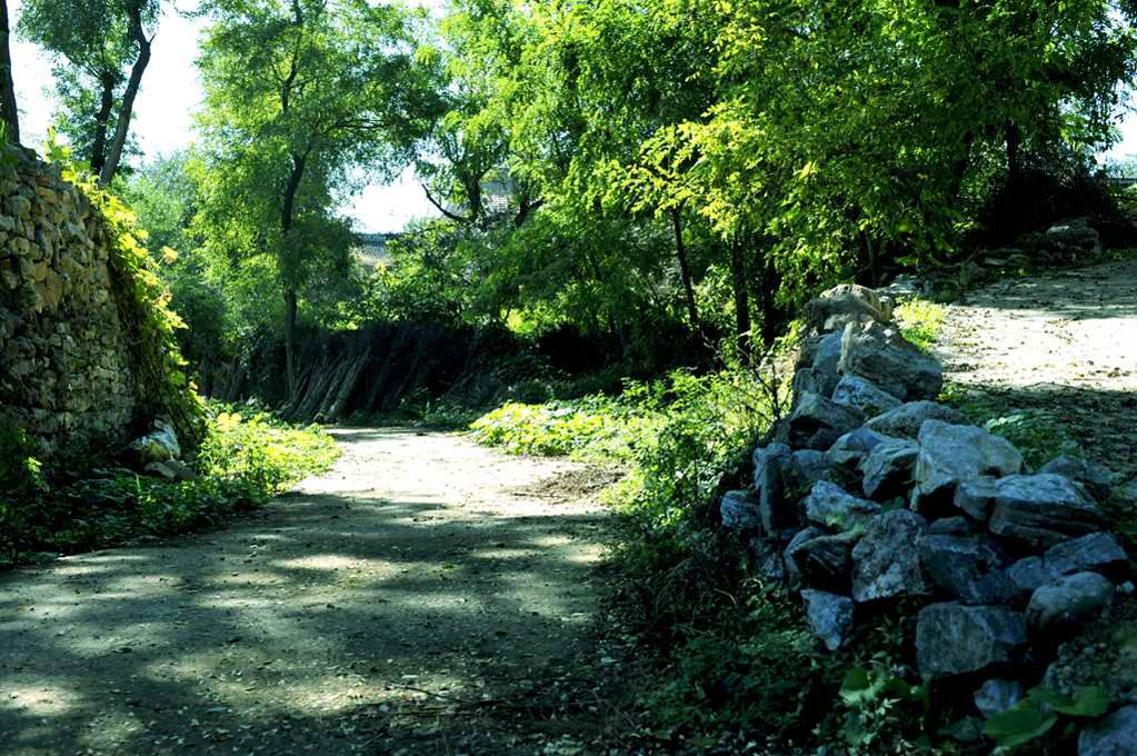 乡村  路 摄影 付家庄