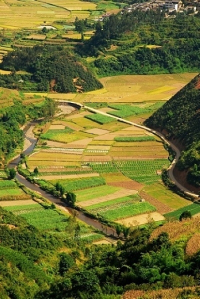 河谷金秋 摄影 风火居士