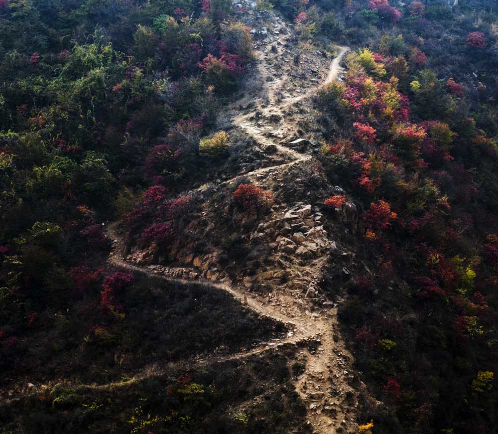 秋染山路 摄影 善意的谎言