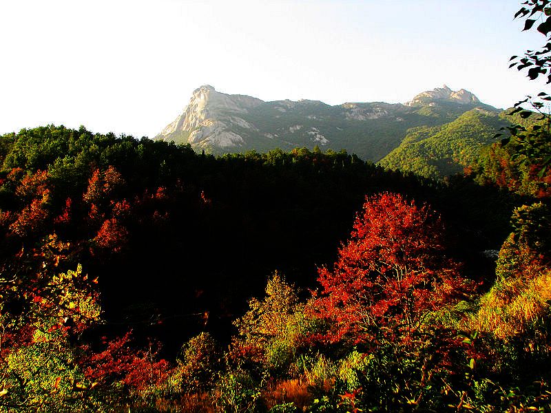 秋染云髻山 摄影 天使之吻