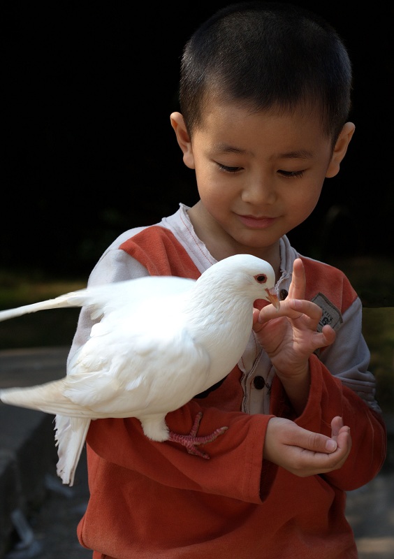 亲昵 摄影 青叶子