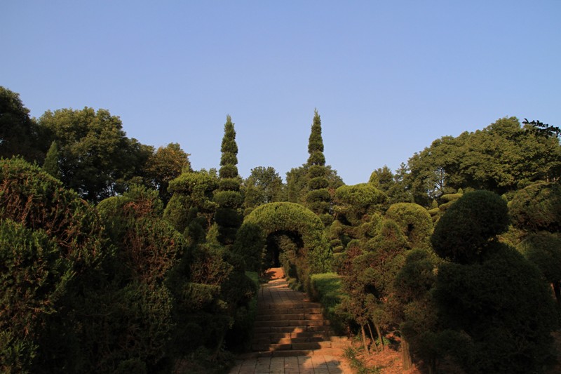 铜陵植物园一景 摄影 hongfei