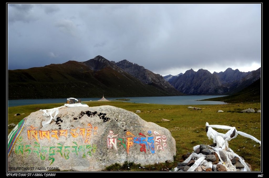 雪域秋色 摄影 高原风景