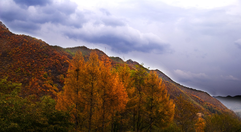 秋色漫山 摄影 冬之猪