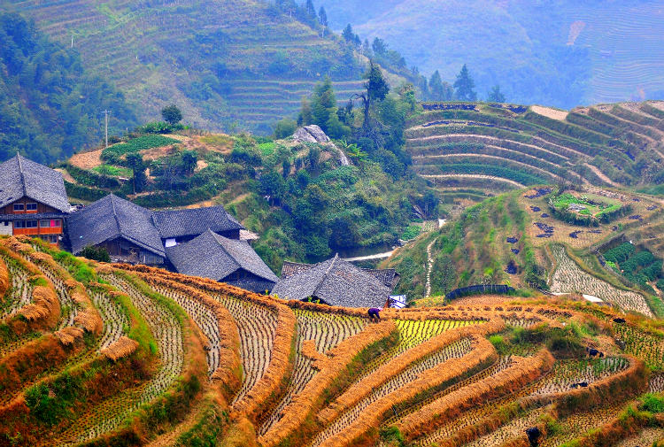 《秋到山乡》 摄影 Robbin