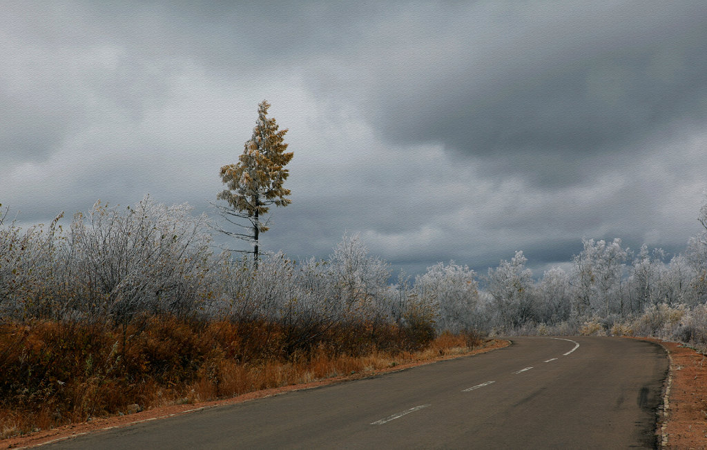 阿尔山的雪 摄影 牛妹