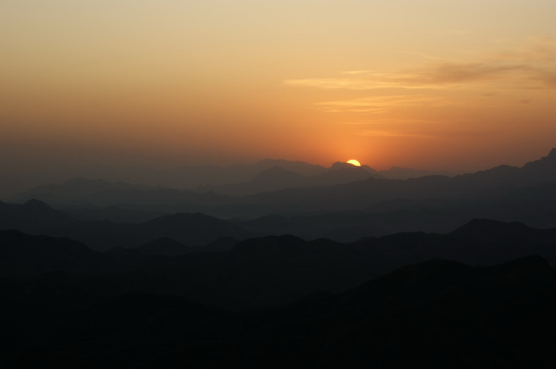 夕阳红 摄影 秋天景色