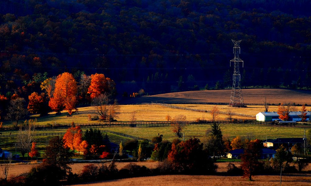 秋色又浓（Niagara Escarpment) 摄影 读书行路