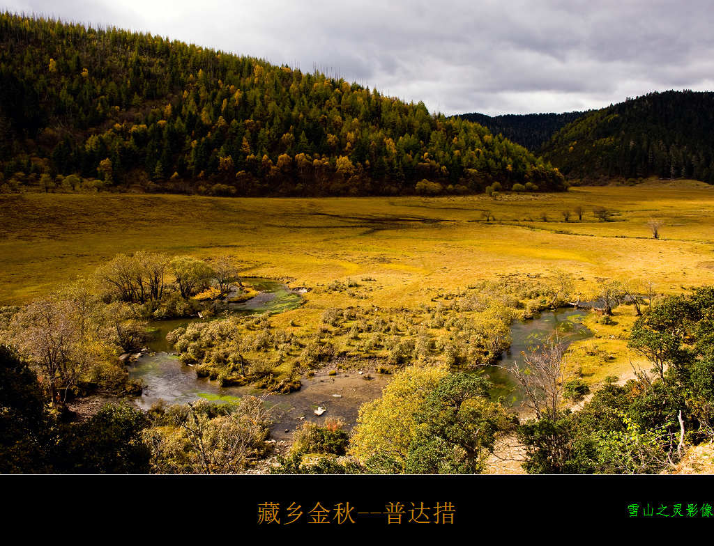 金秋普达措-高山草原 摄影 雪山之灵