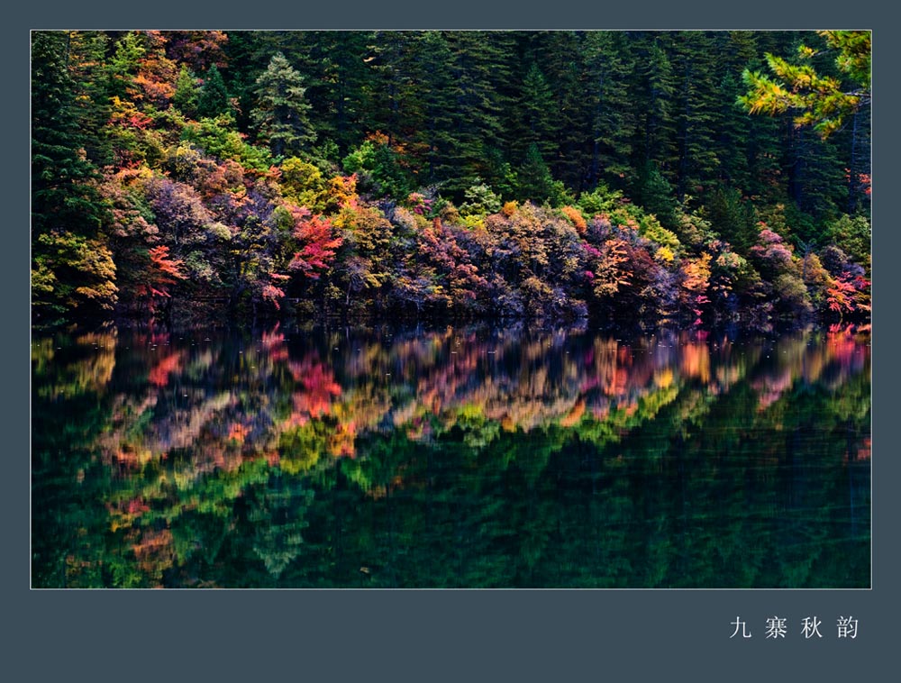 九寨秋韵 6 摄影 chenheyong