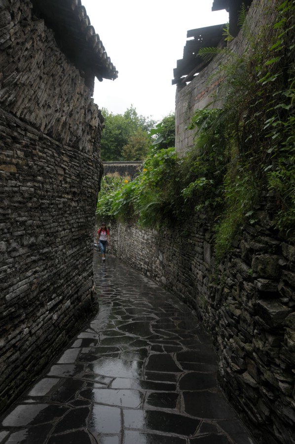 随拍 摄影 雨中飞