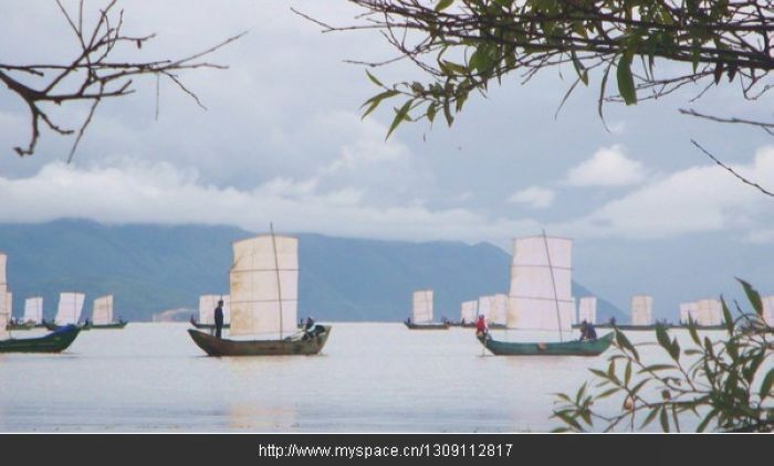 洱海渔船 摄影 蒋海莲