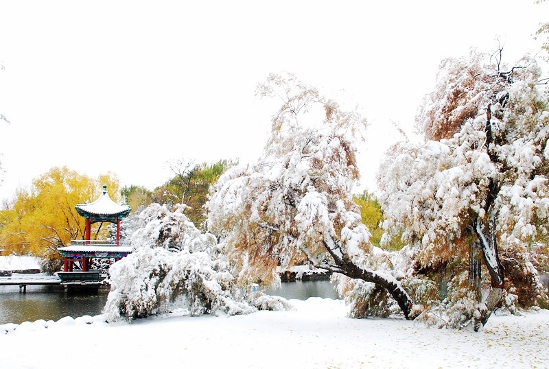 深秋的雪 摄影 老虎跳凳