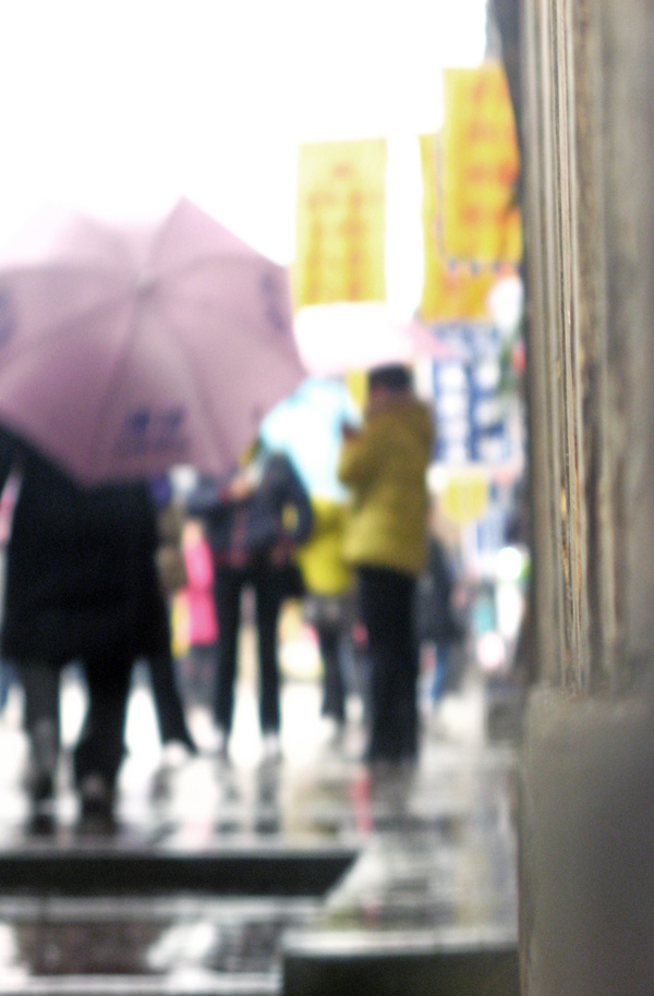 雨中 摄影 尼玛老爷