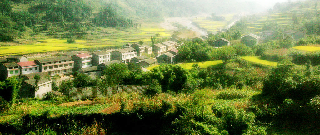 乡村即景 摄影 心象旷野的鸟