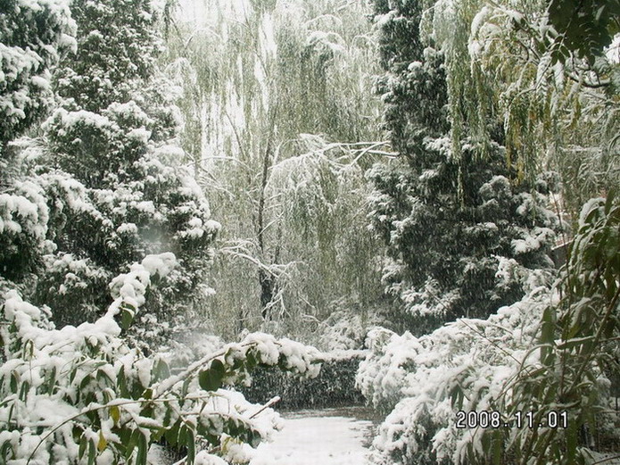 下雪啦 摄影 老妖野营