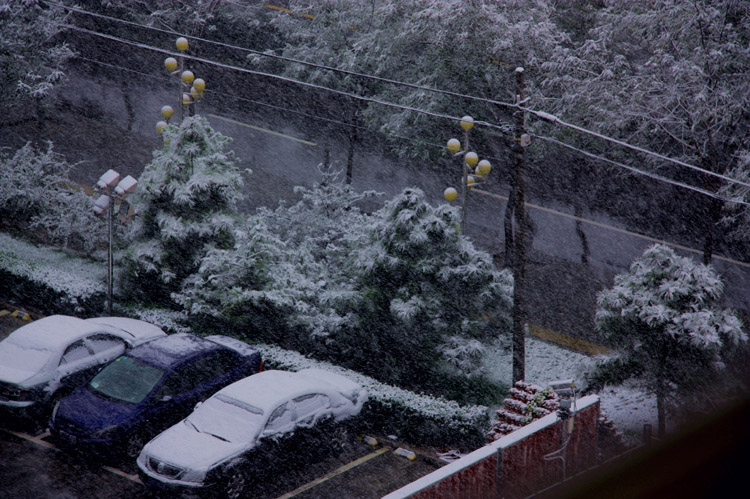 北京的第一场雪 摄影 一方净土