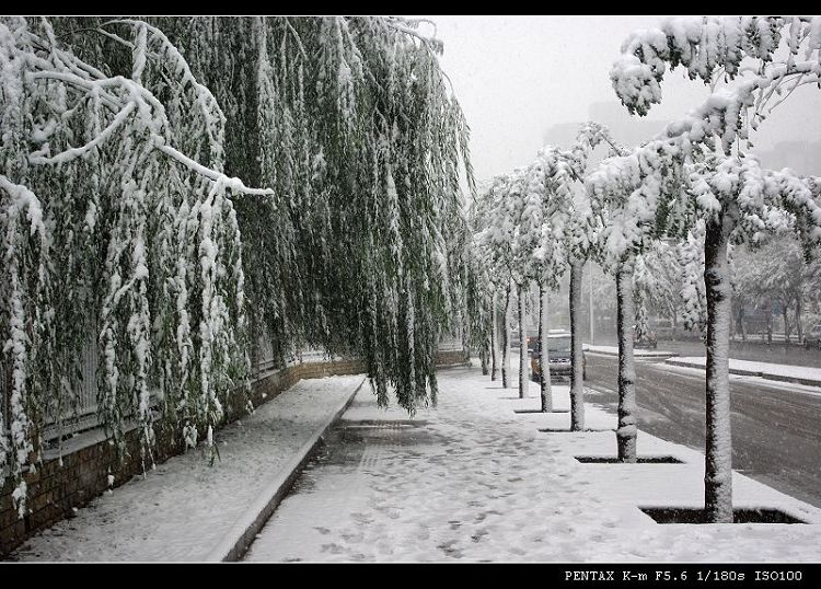 风雪进行时 摄影 54马