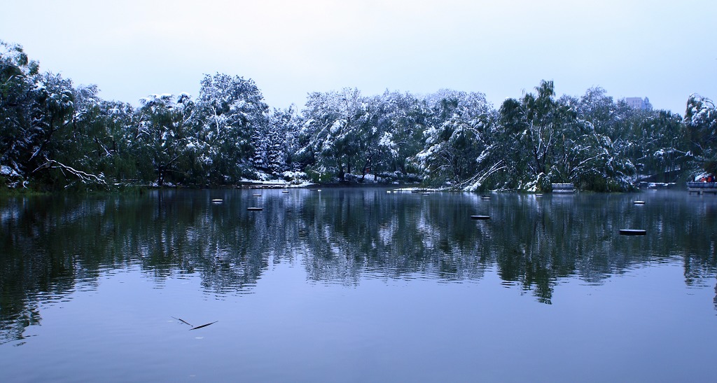 2009年北京第一场雪 摄影 向往911