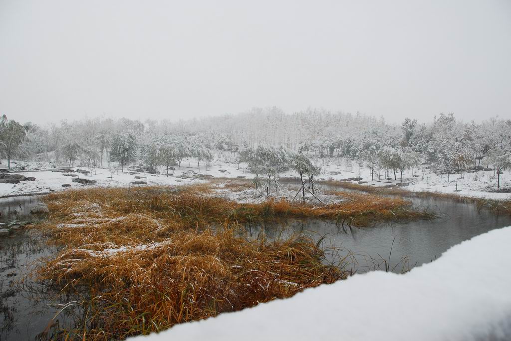 雪景 摄影 摄乐