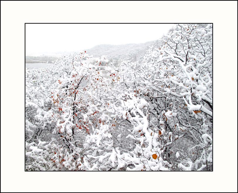 初雪 摄影 游马