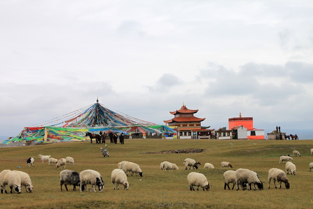 和谐家园 摄影 天篝