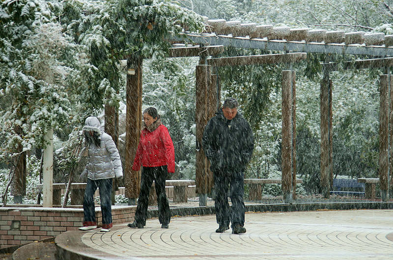 雪中行 摄影 槐荫轩主a