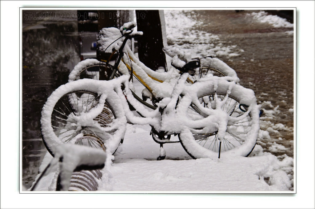 雪车 摄影 芥末墩儿