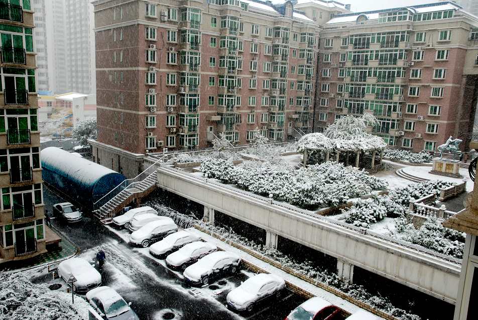 窗外大雪纷飞 摄影 花皮蛇