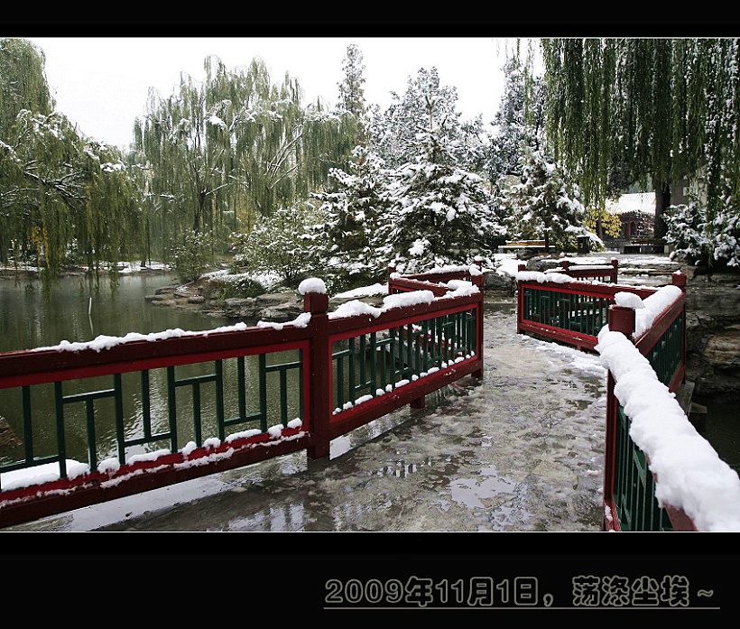 雪。荡涤尘埃 摄影 燕归来2008