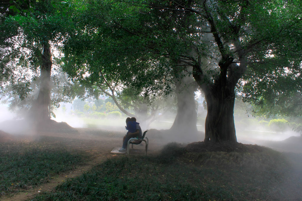 雾景 摄影 派头