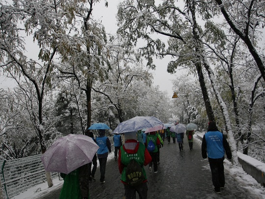 雪中长走 摄影 随风入