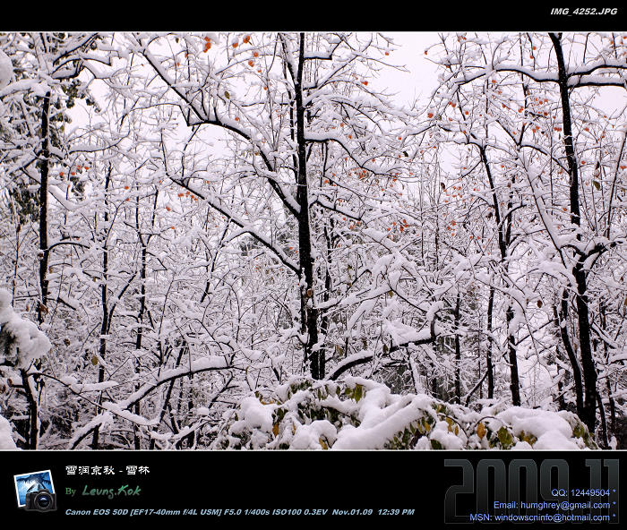 雪润京秋：雪林 摄影 Leung.Kok